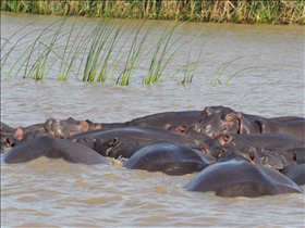 Hluhluwe River